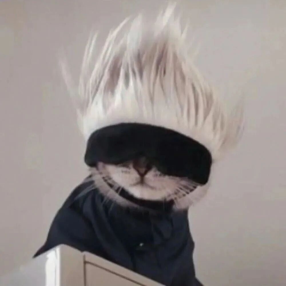 沙雕搞怪猫咪萌宠头像