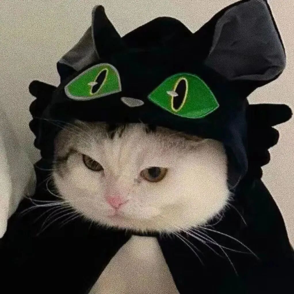 misdbaqltx沙雕搞怪猫咪情侣头像