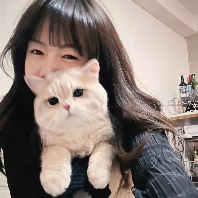 可爱猫咪女生头像