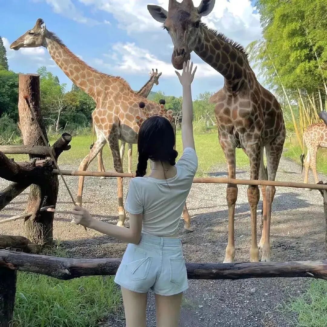 不露脸小清新女生头像