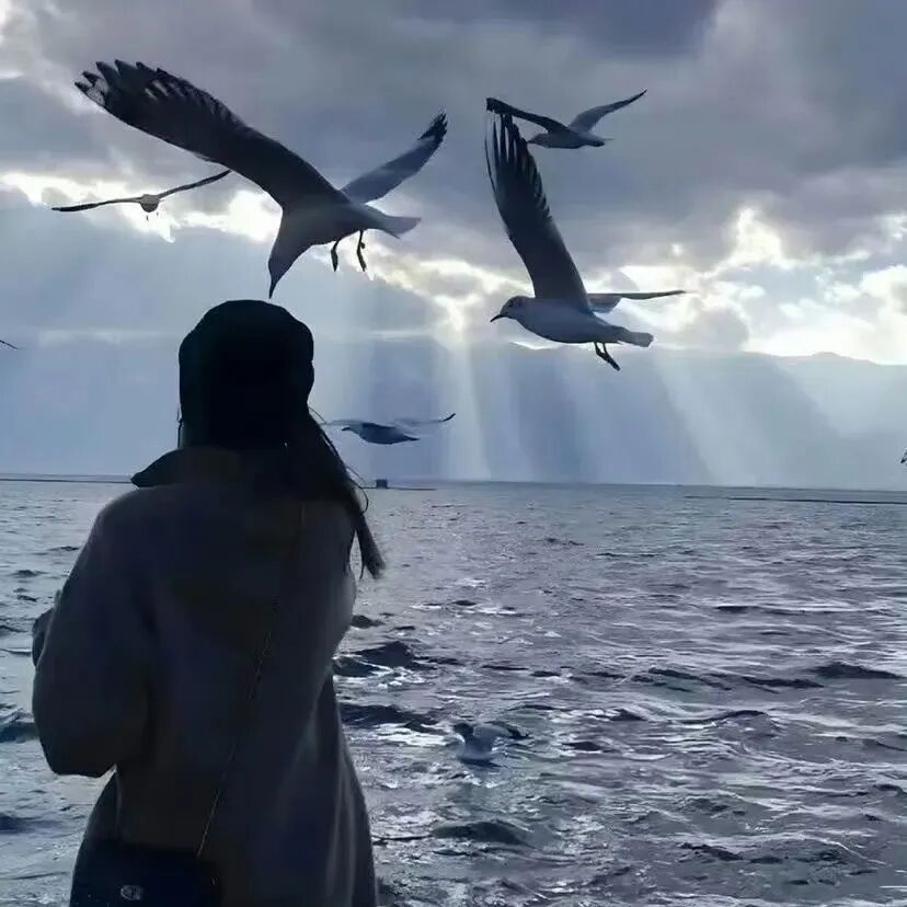 氛围感不露脸海边女生头像