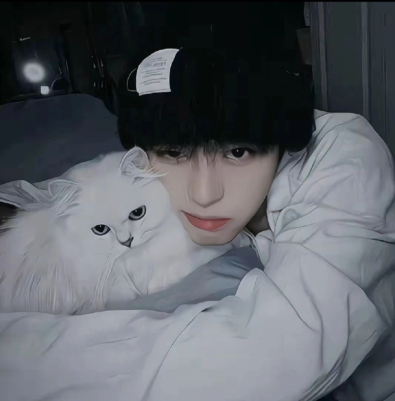 戴着帽子和猫咪男生头像