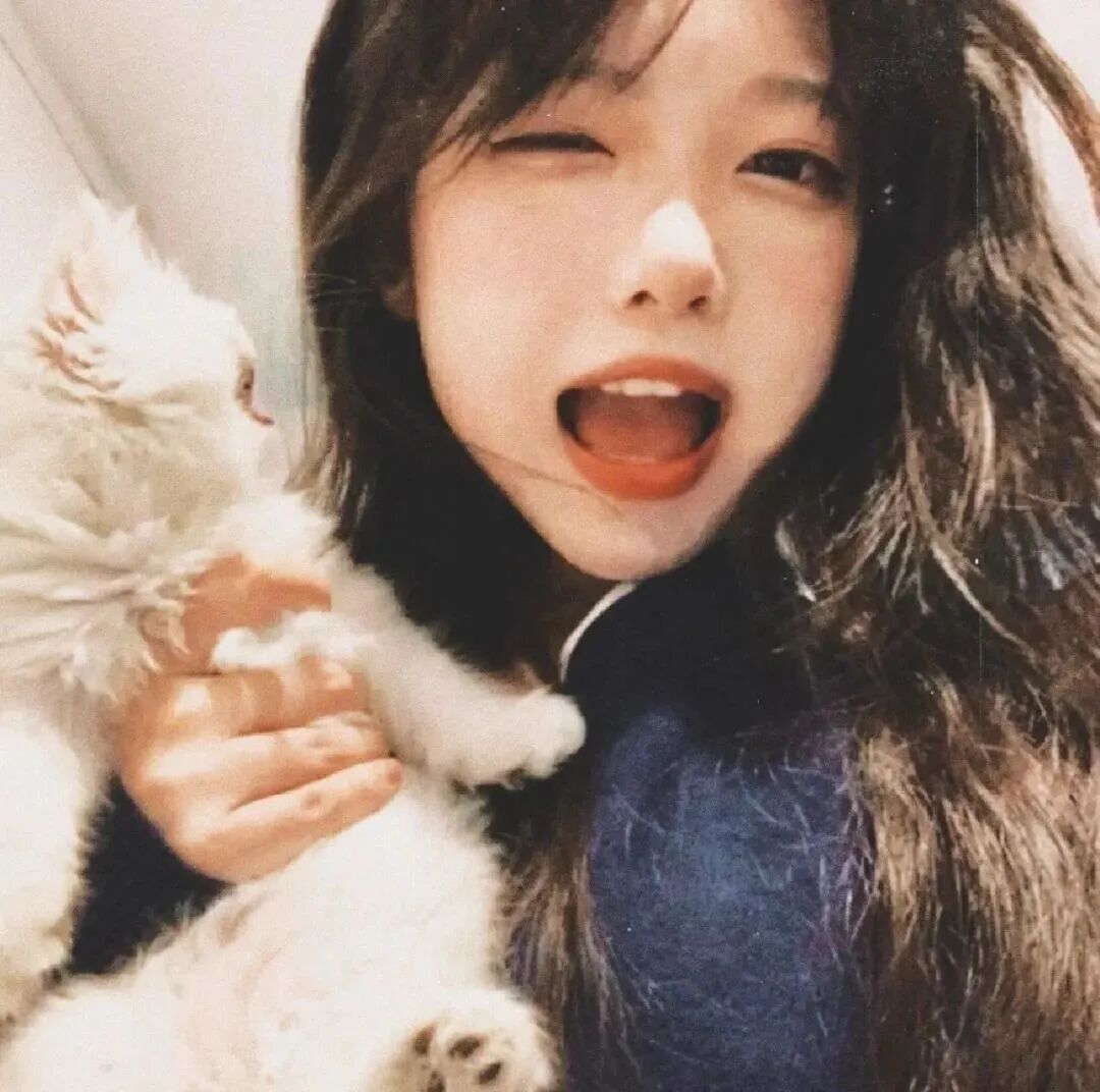 抱着猫咪女生头像