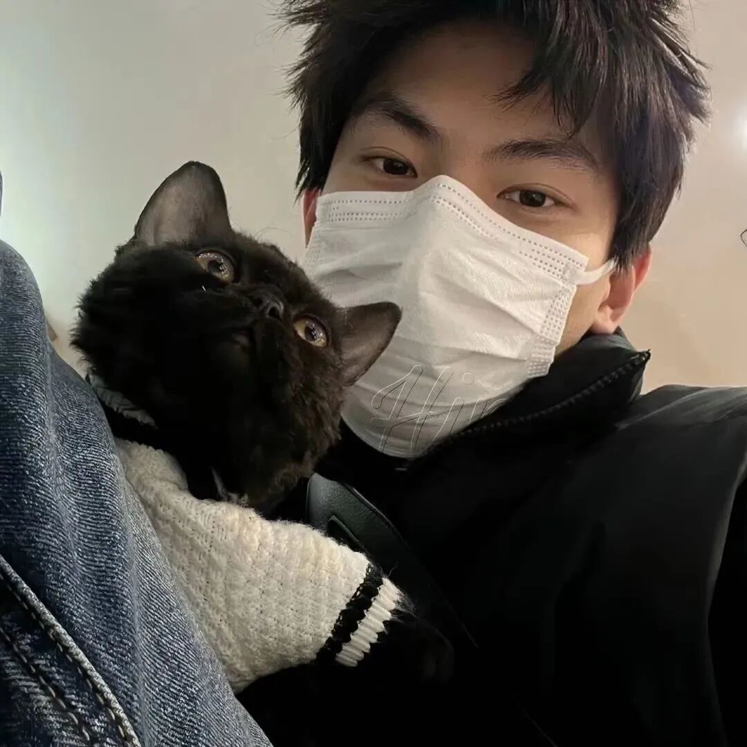 抱着猫咪口罩不露脸小众男生头像