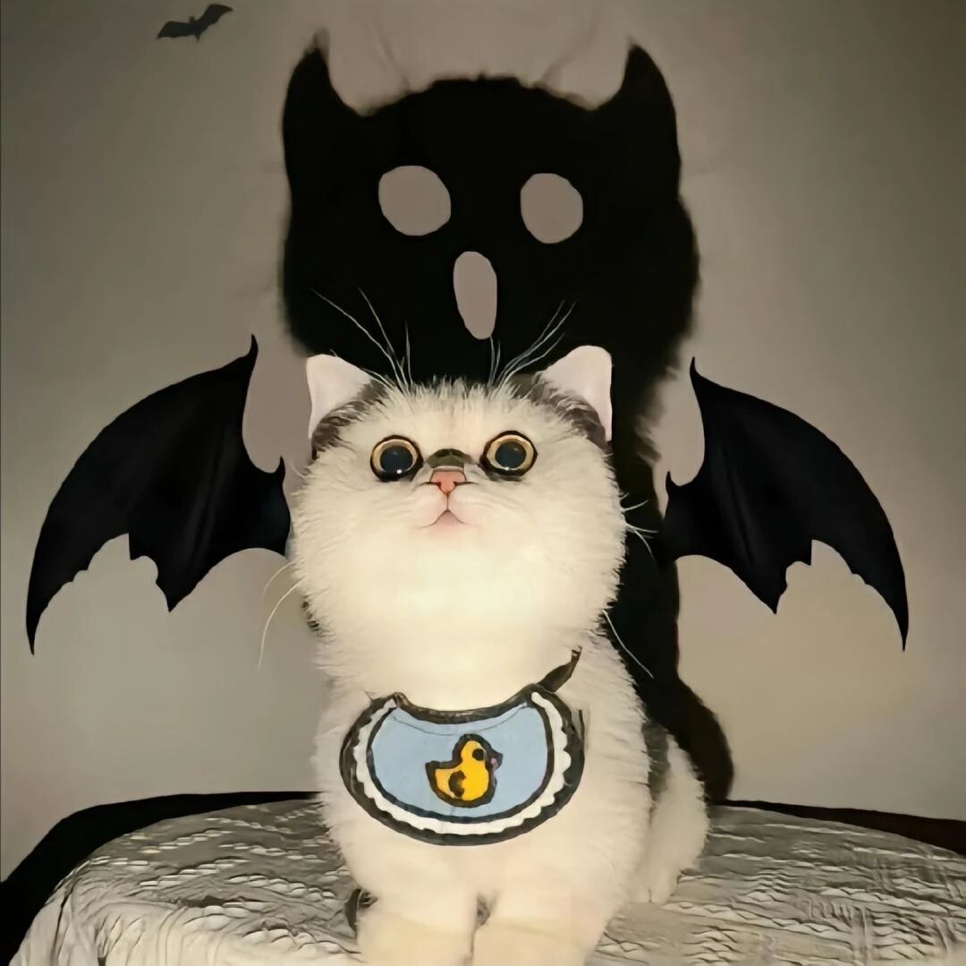 猫咪万圣节萌宠头像