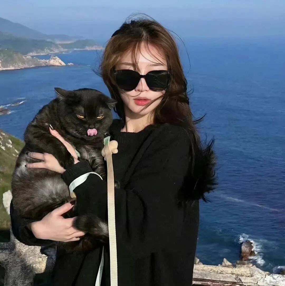 很飒海边抱着猫咪墨镜女生头像