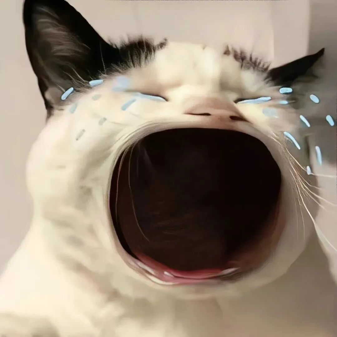 大冤种哭泣猫咪萌宠头像