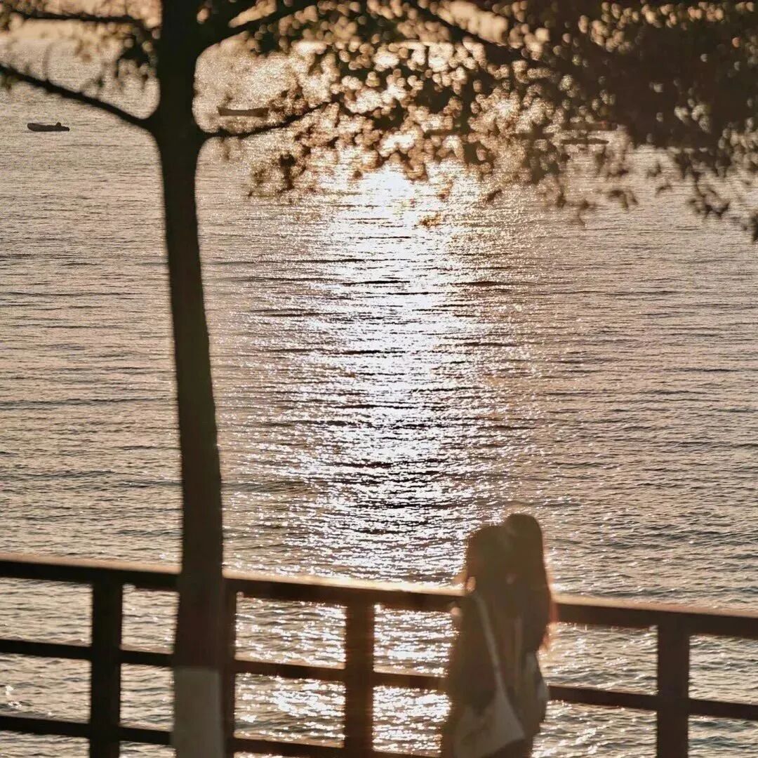海边背景图