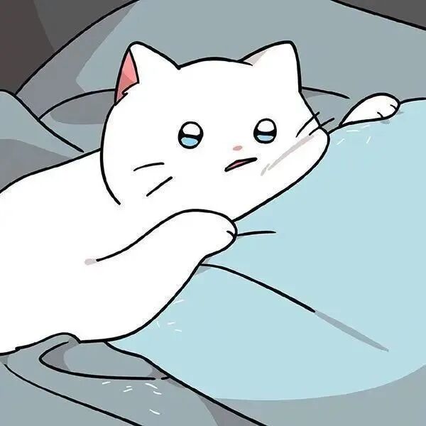 可爱猫咪卡通头像