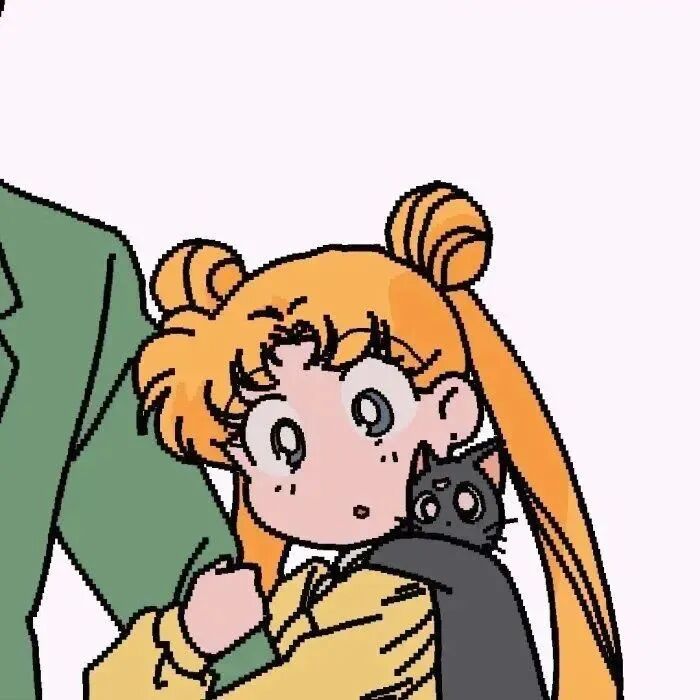 fudugufennaimeisaoduoliya美少女战士动漫情侣头像