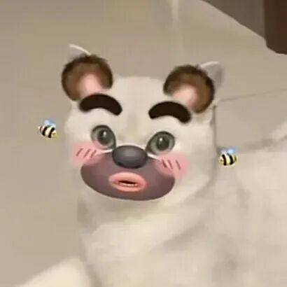 sdemojegaoguaiduoliya沙雕搞怪猫咪情侣头像
