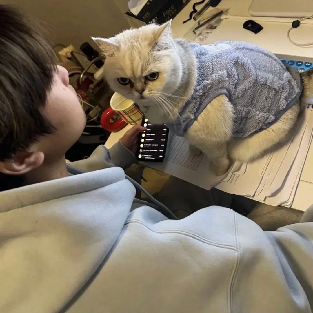 小众侧脸猫咪男生头像
