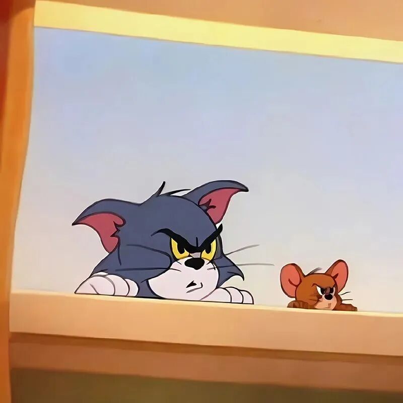 猫和老鼠卡通背景图