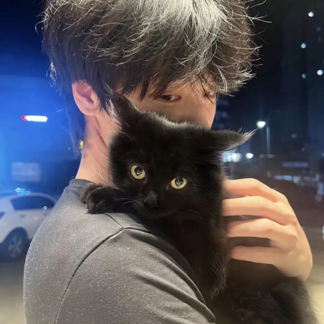 抱着猫咪个性男生头像
