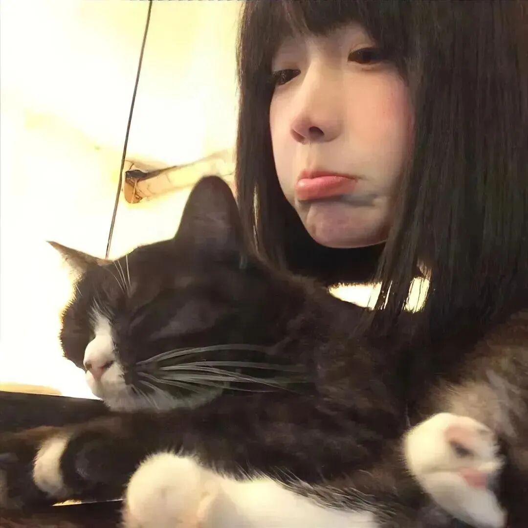 抱着猫咪甜妹女生头像