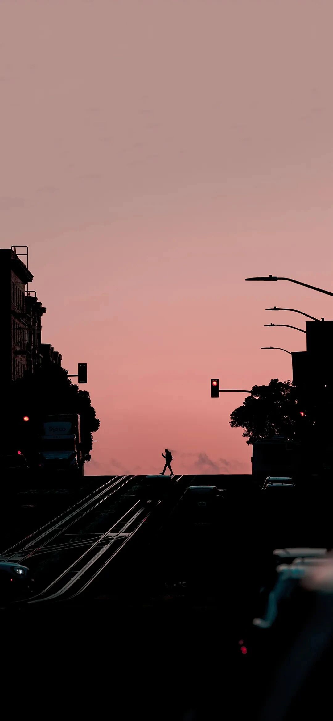 风景
