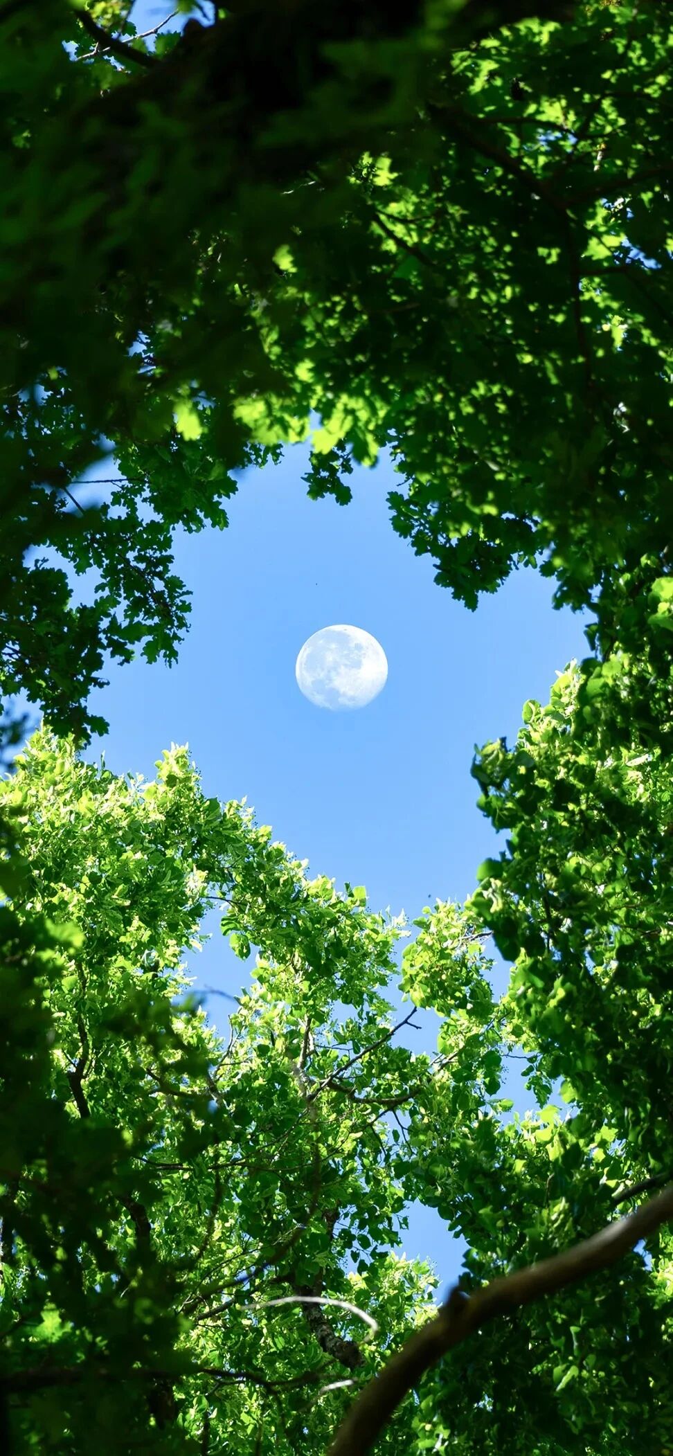 风景