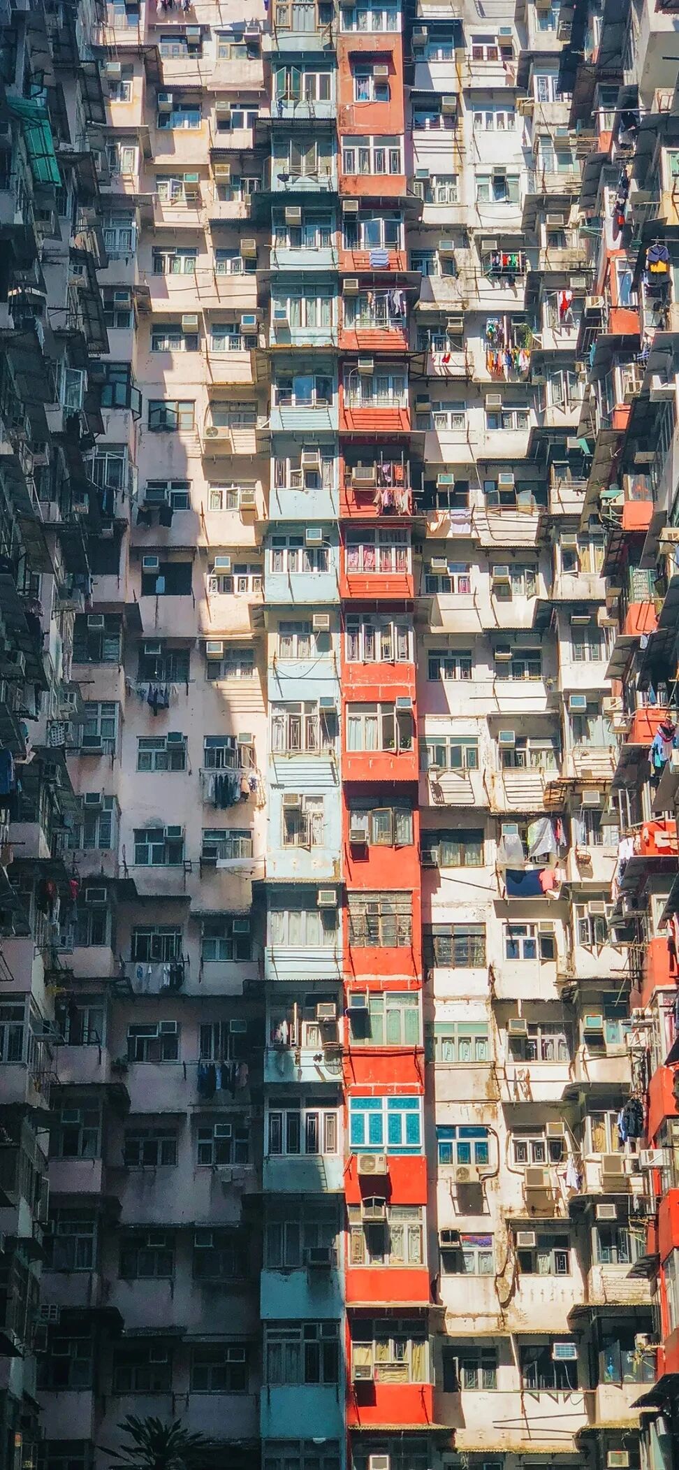 风景