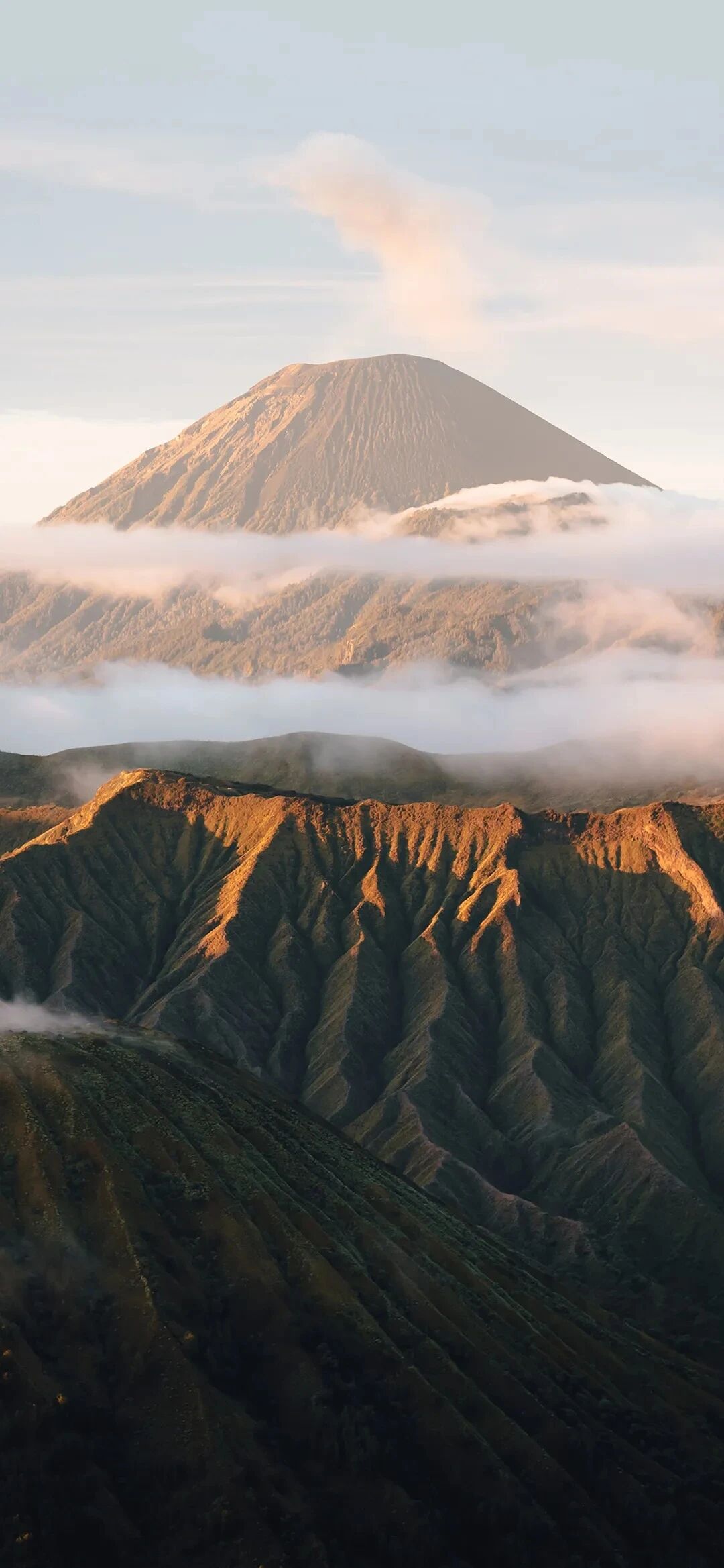 风景