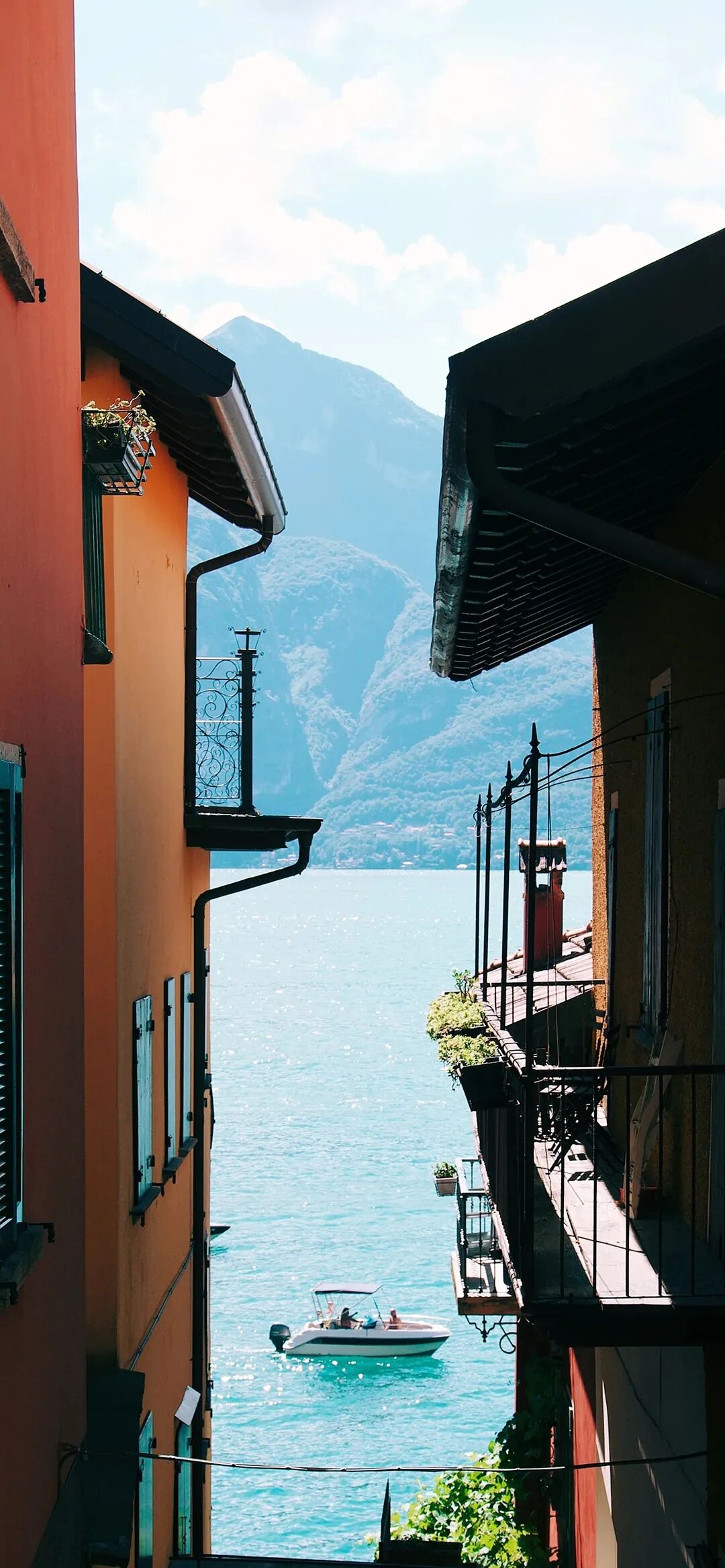 风景
