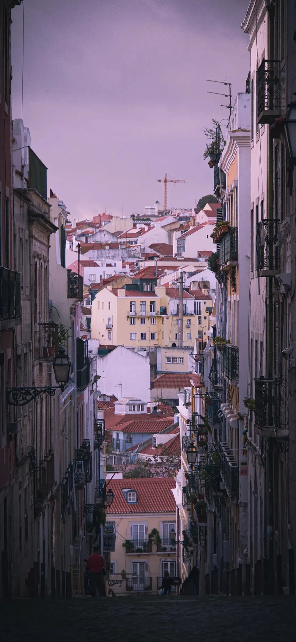 风景