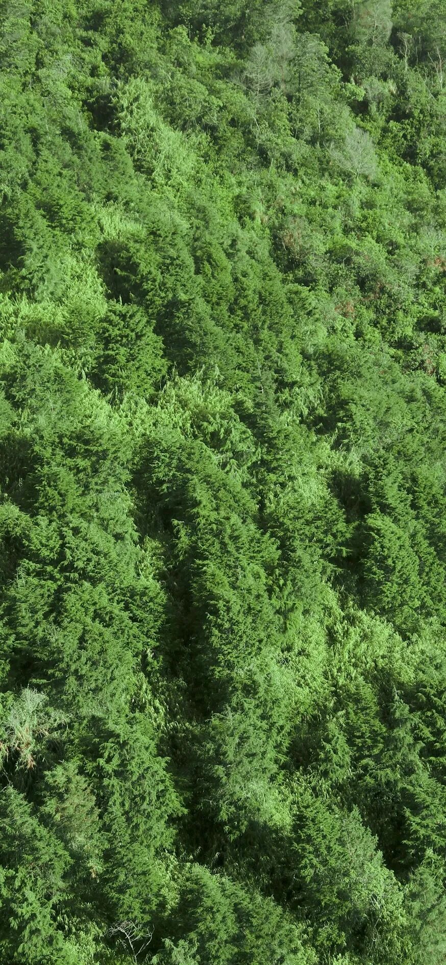 风景