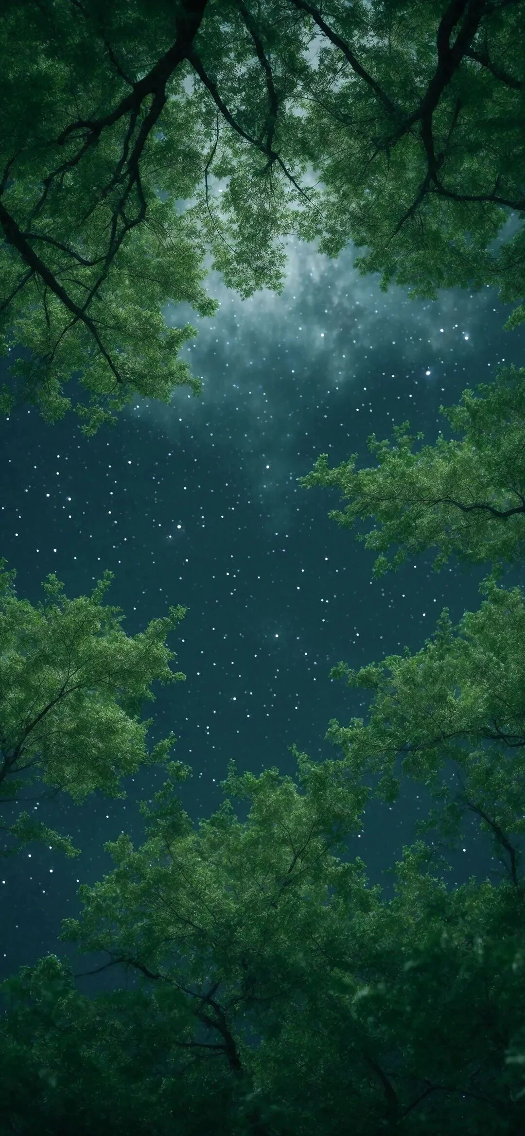 风景