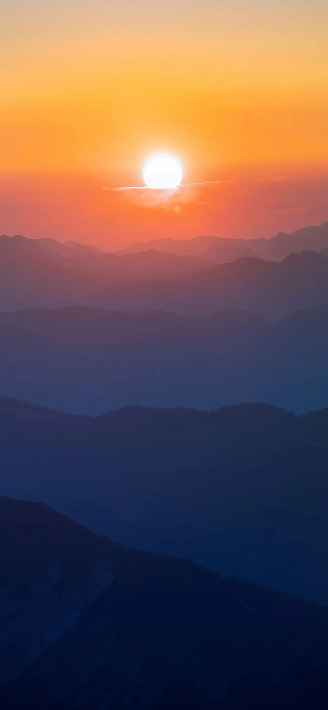 风景
