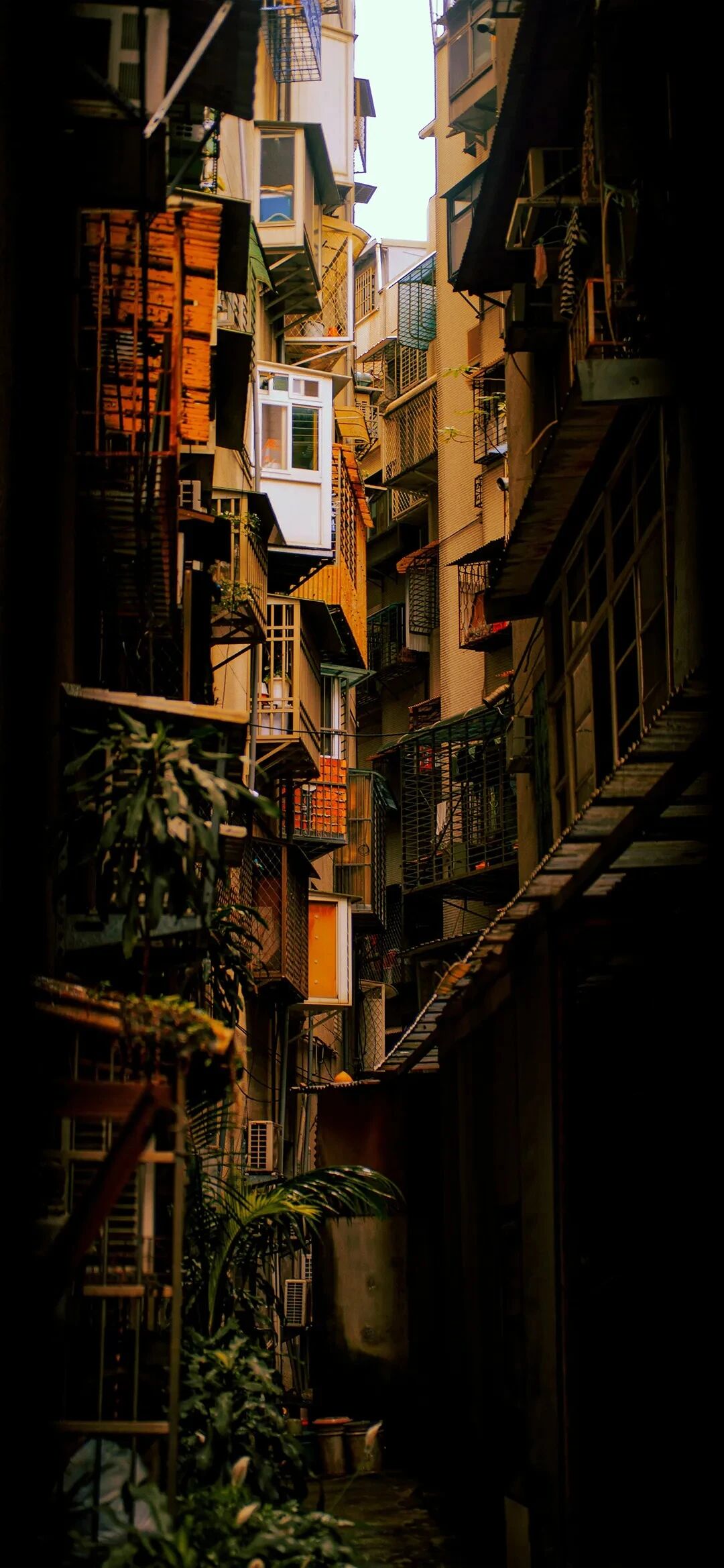 风景