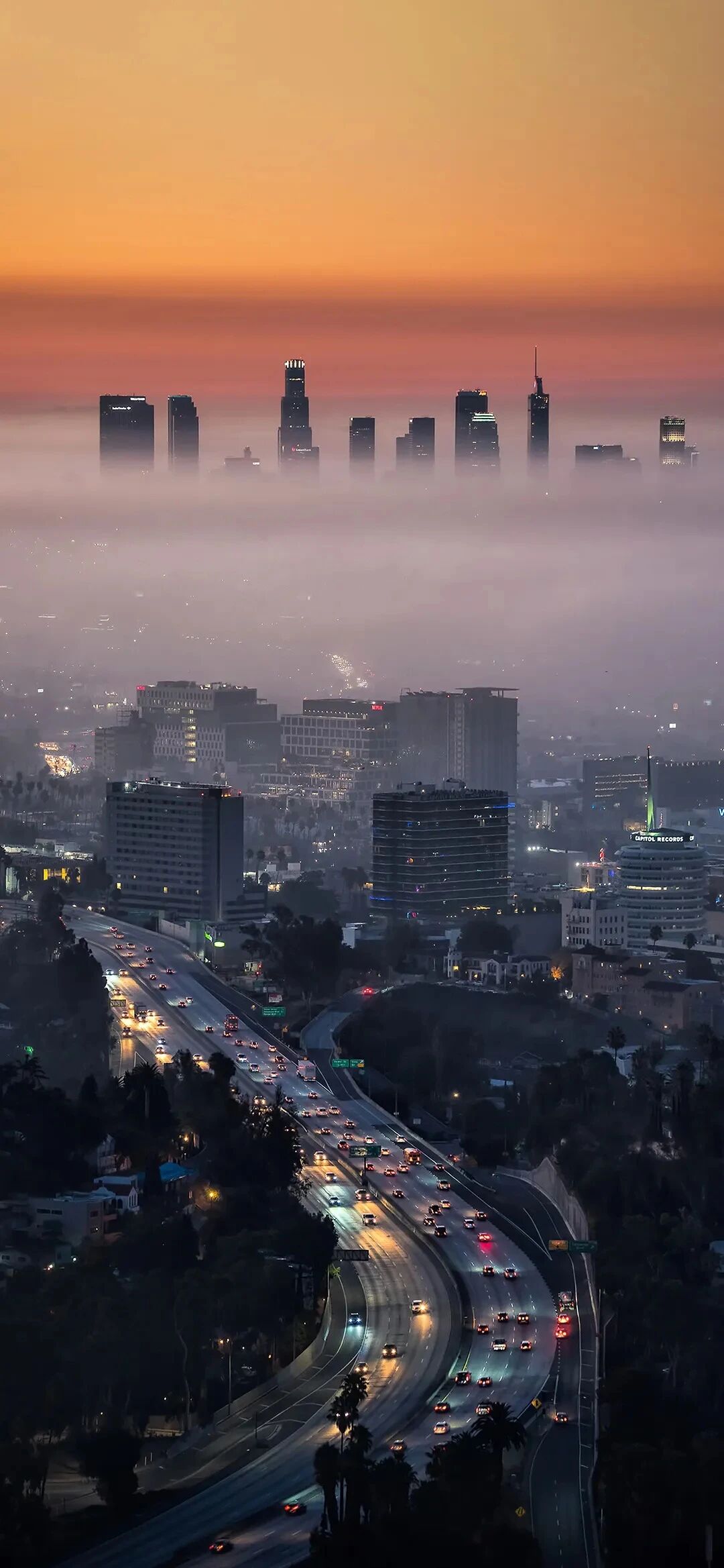 风景