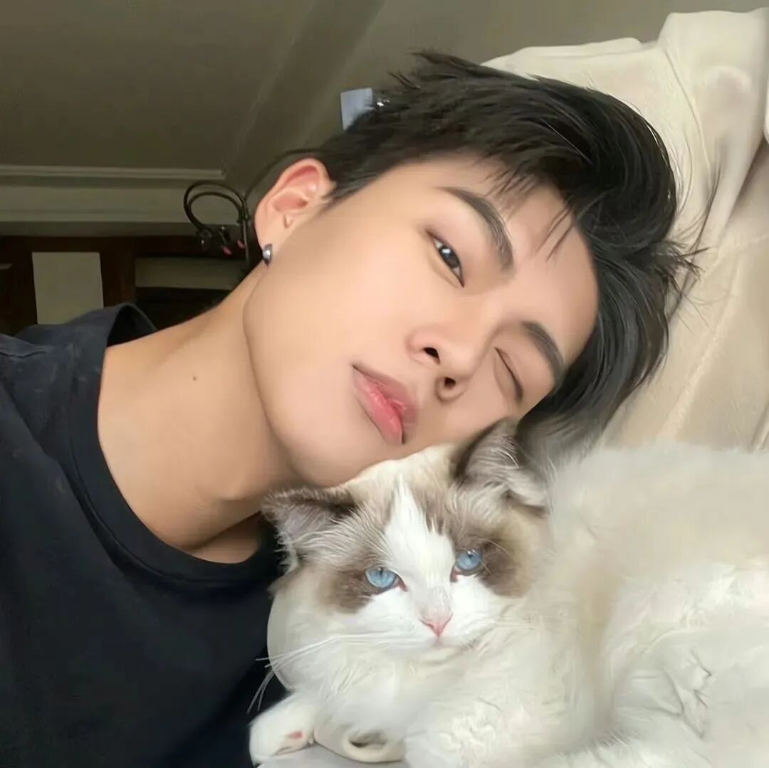 抱着猫咪帅气男生头像