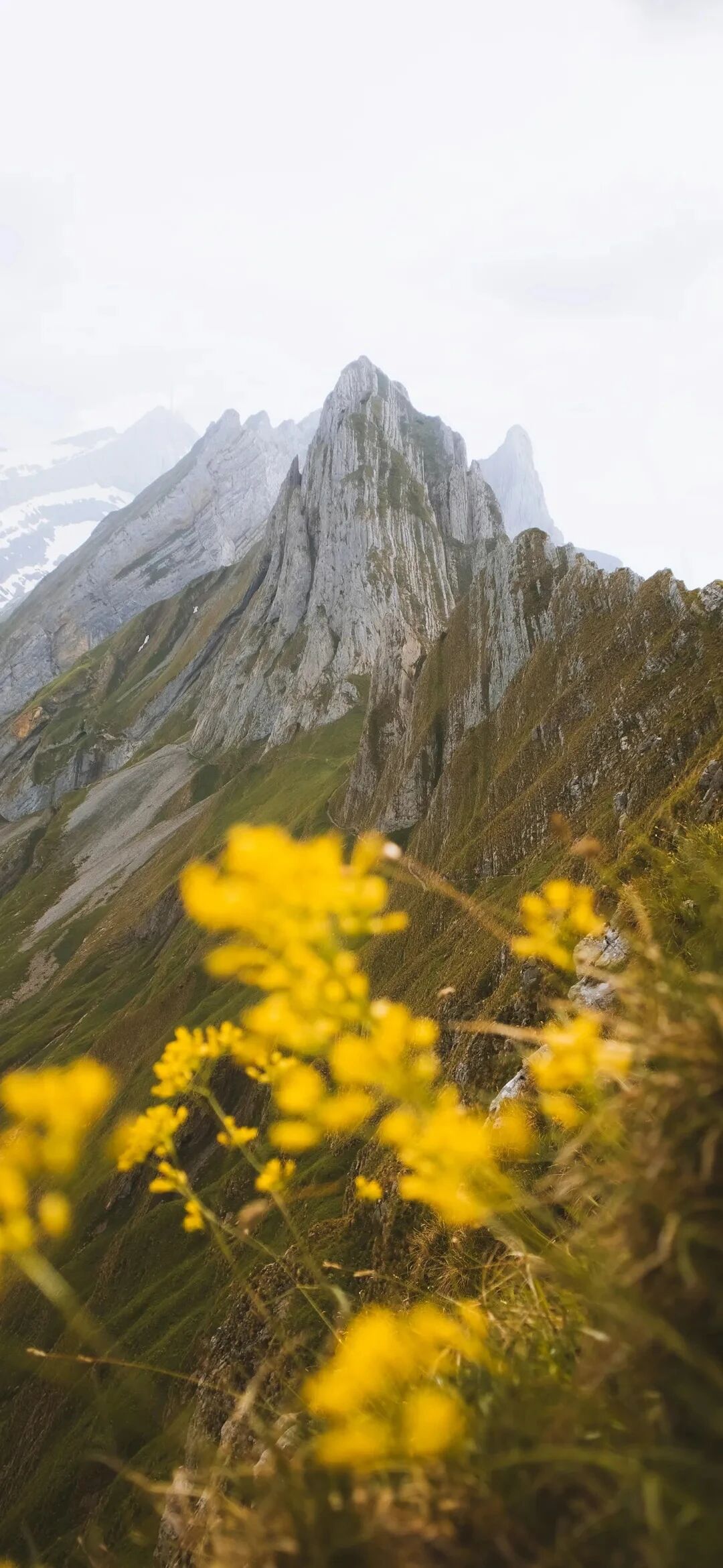 风景