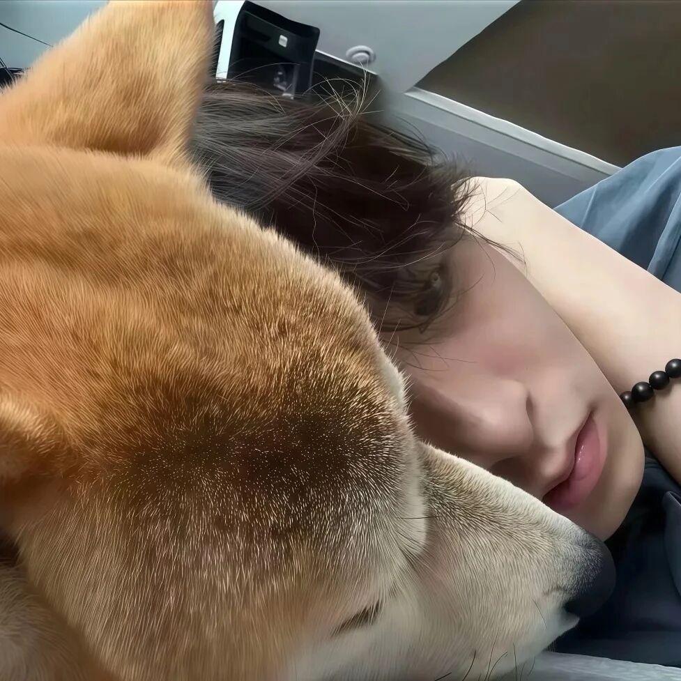 趴着小众男生头像