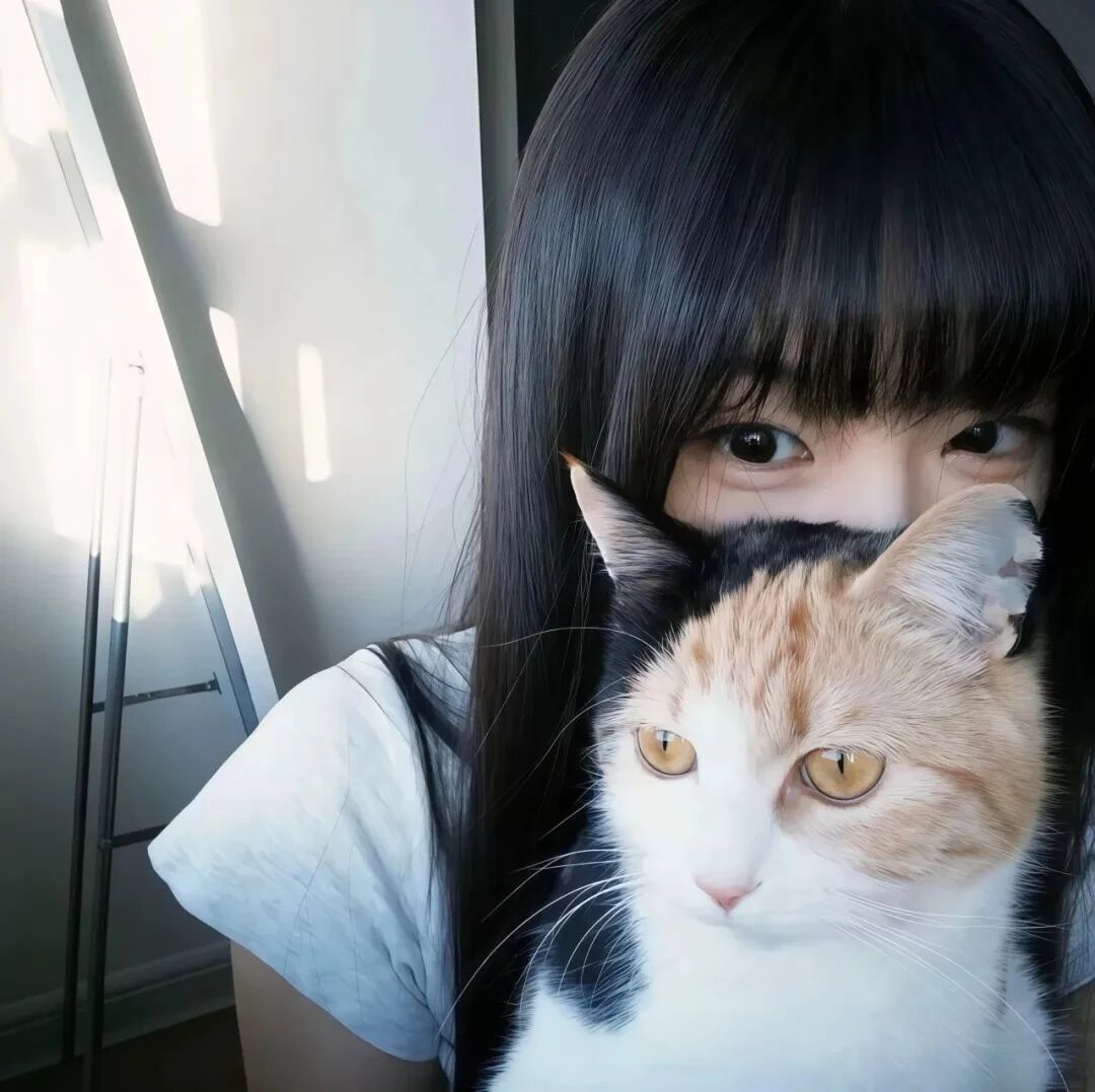 抱着猫咪温柔女生头像