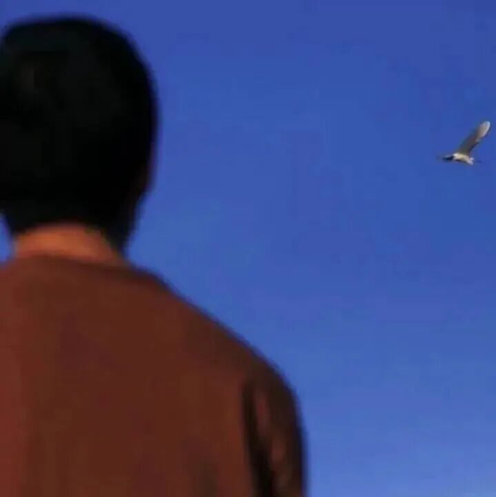 yijiaiqing意境真人情侣头像