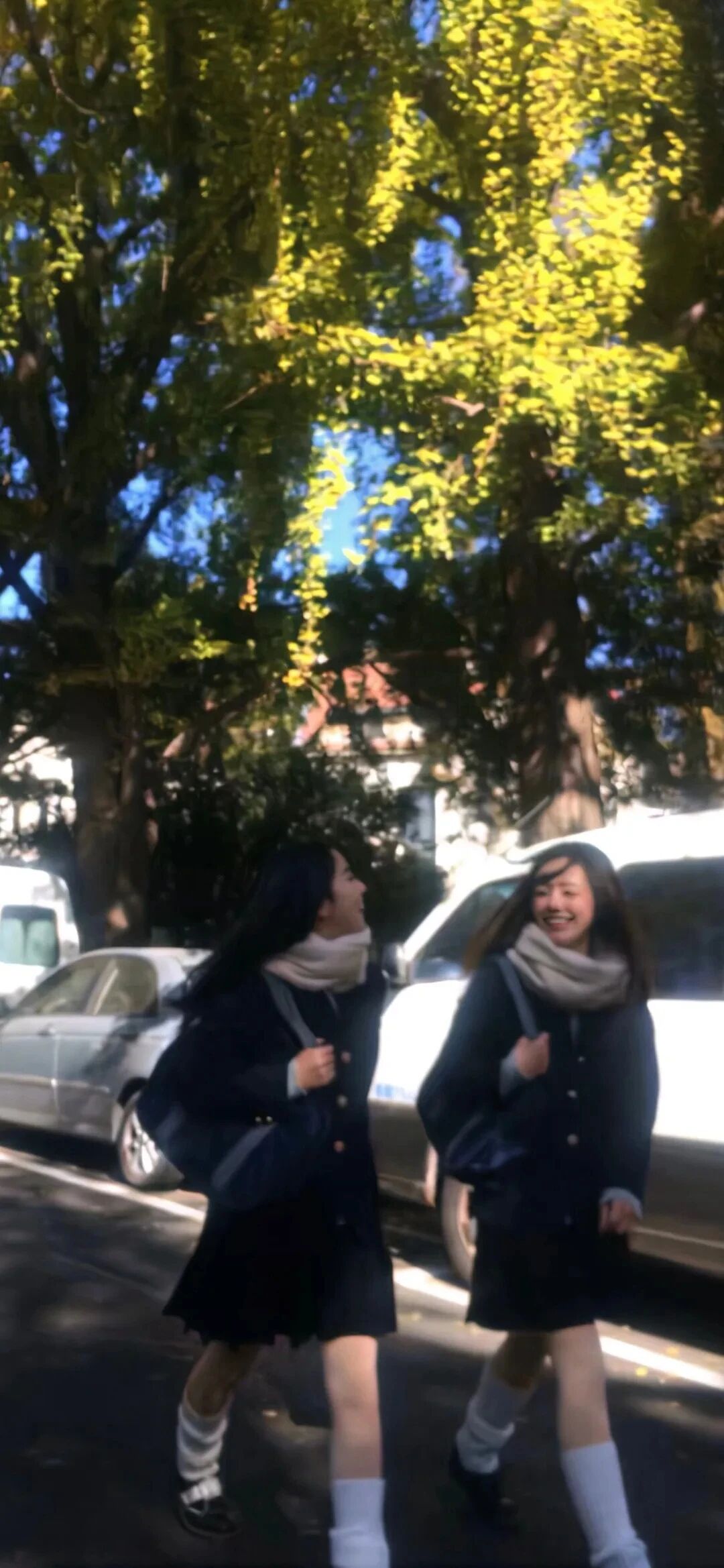 抖音热门