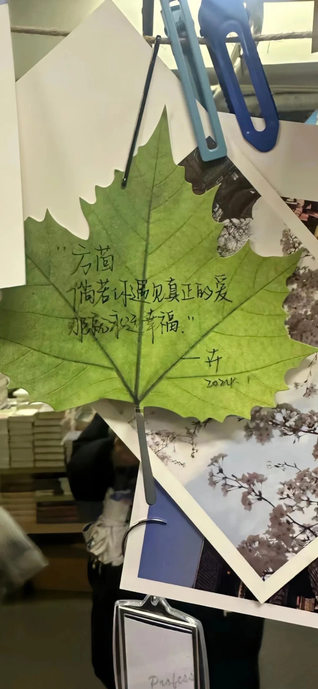 什锦