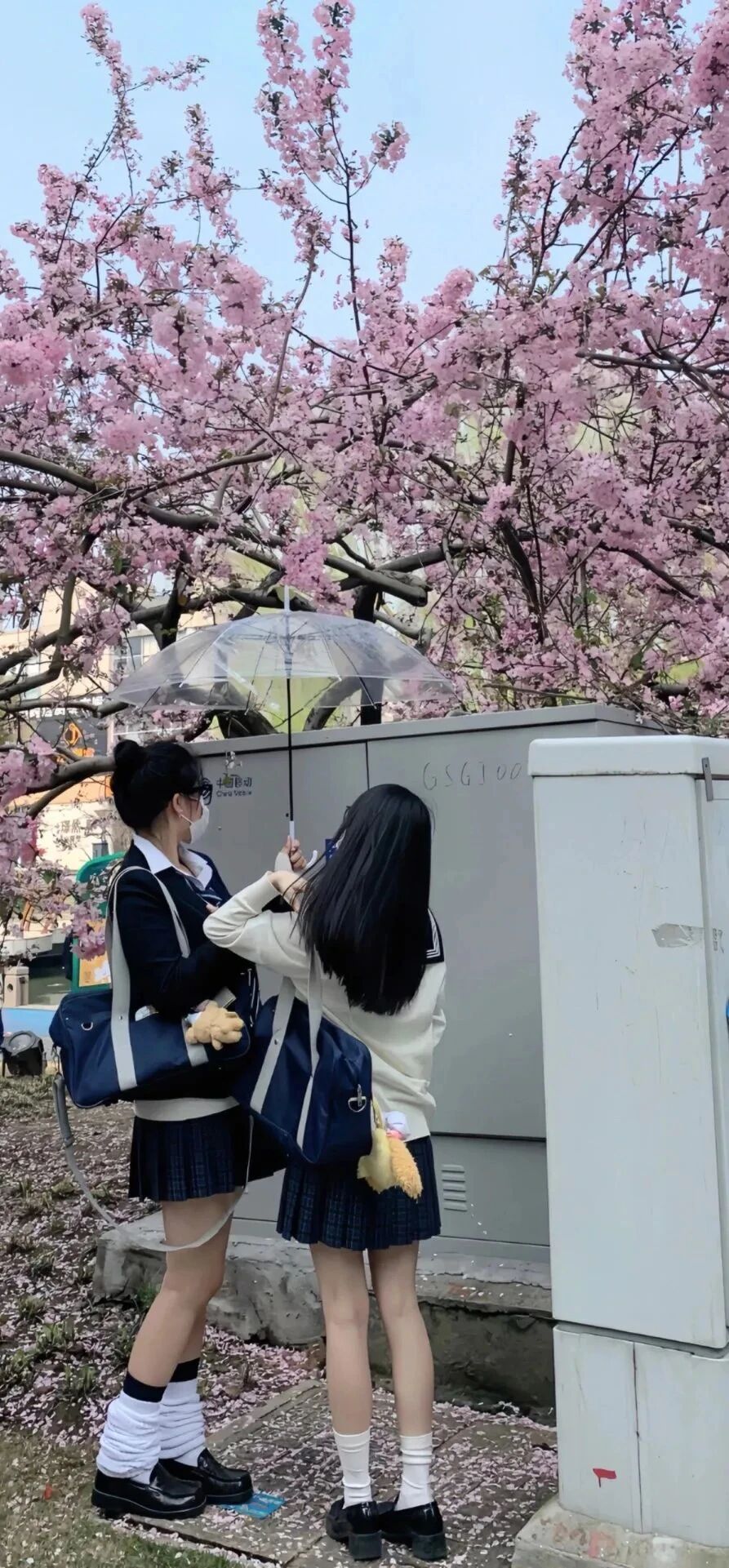 抖音热门