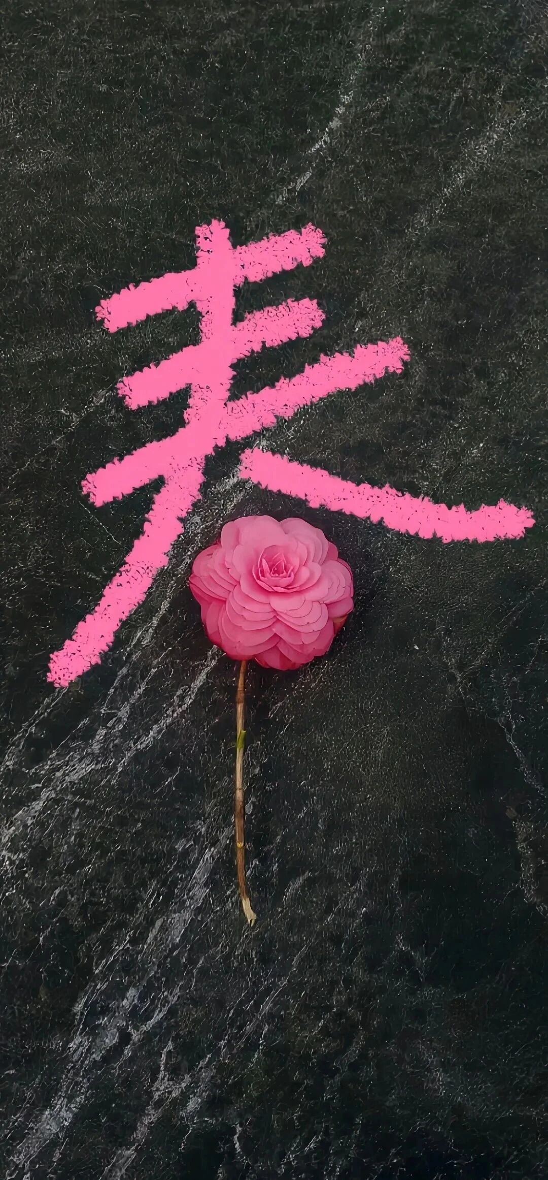 意境春天文字壁纸