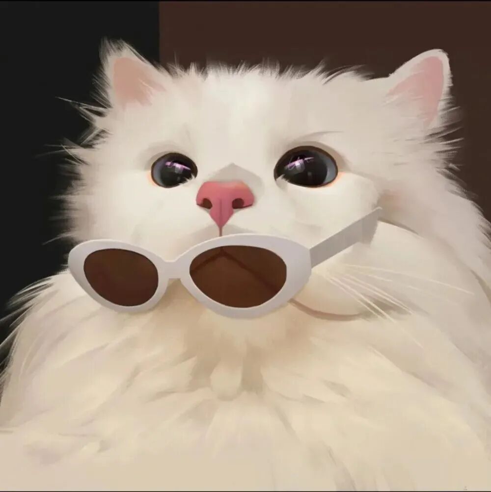 萌宠 萌宠头像  小猫头像 小猫
