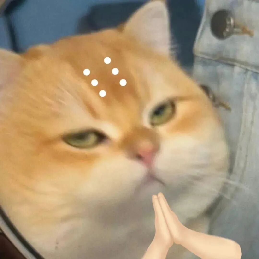 沙雕搞怪猫咪萌宠头像