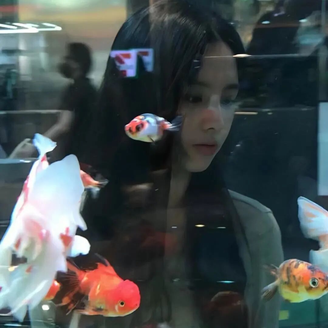 氛围感金鱼女生头像