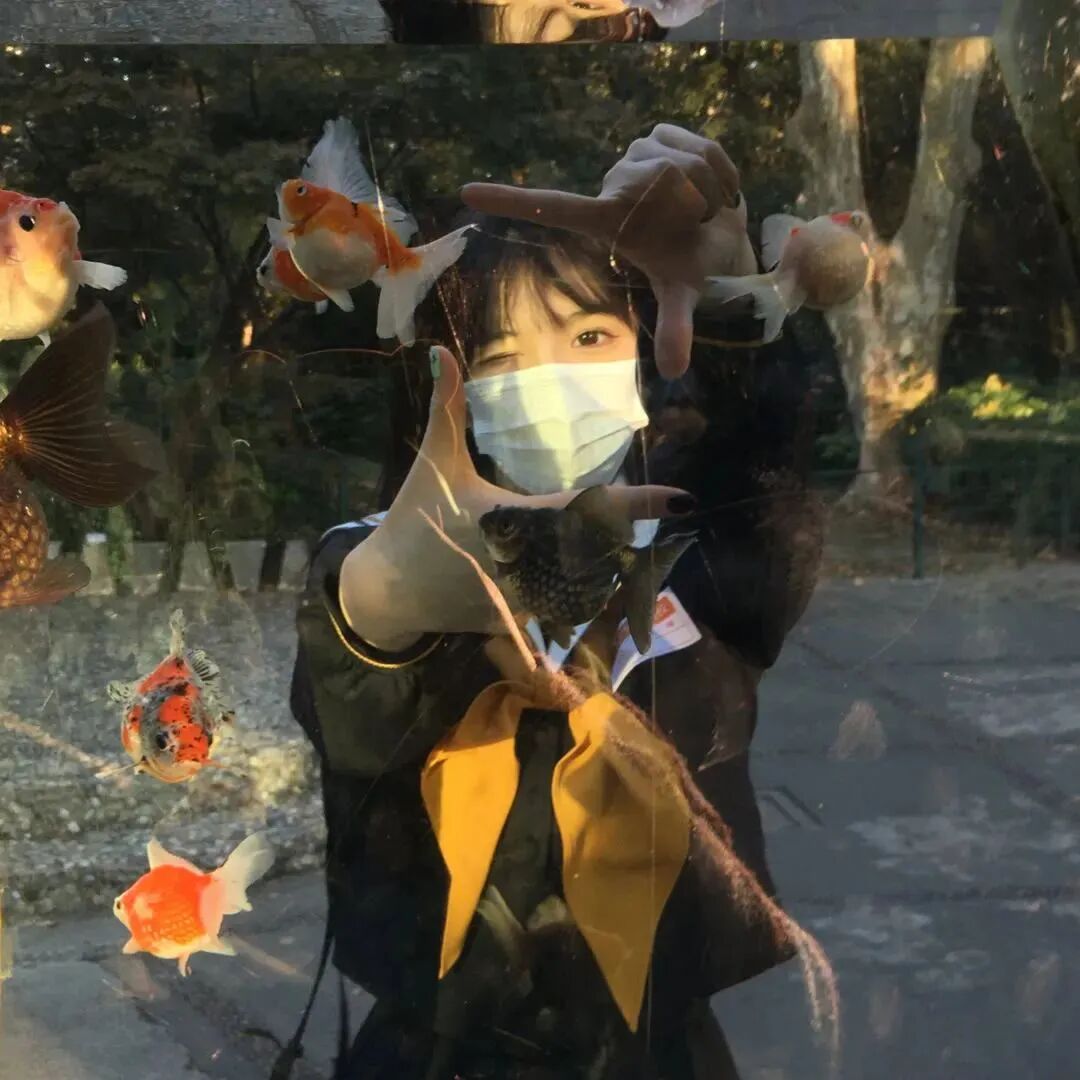 氛围感金鱼不露脸女生头像