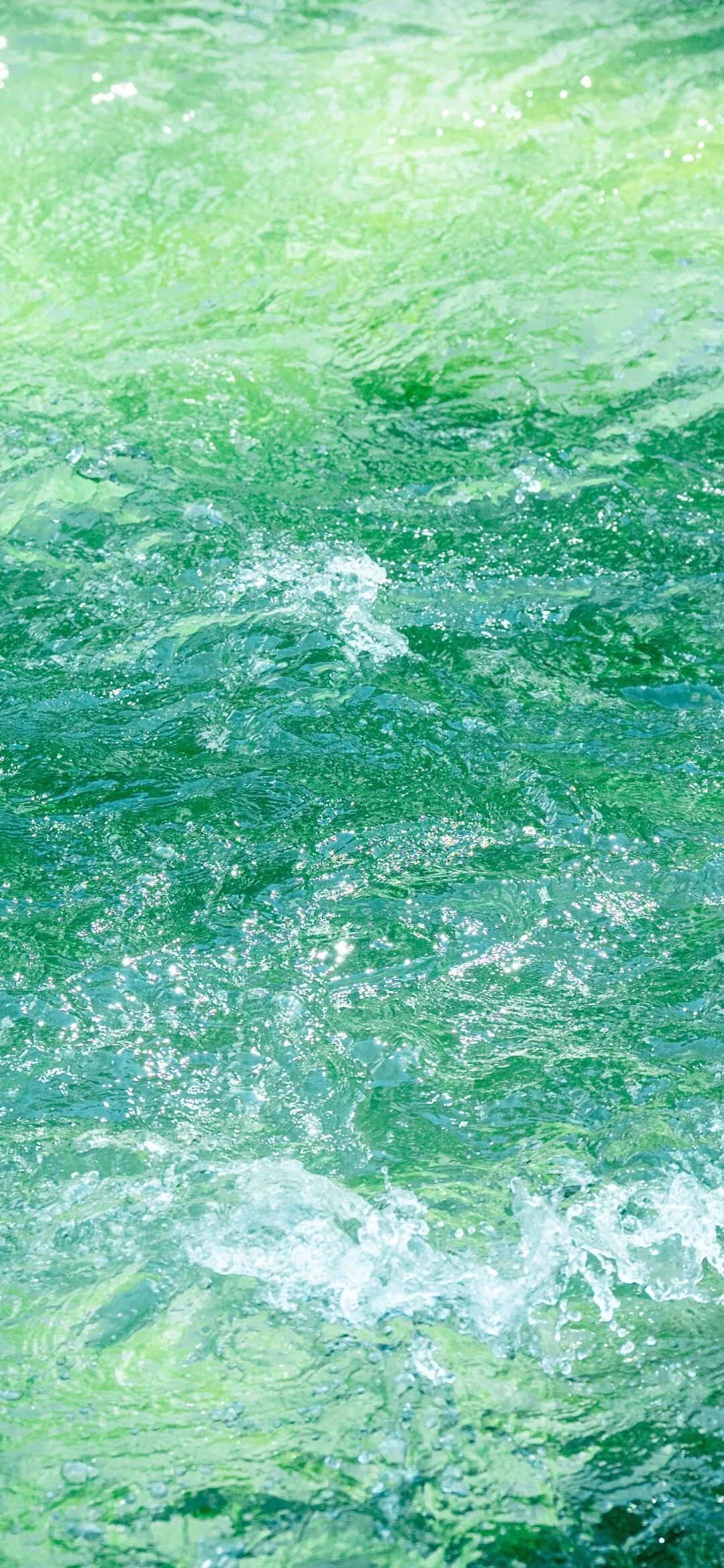 风景