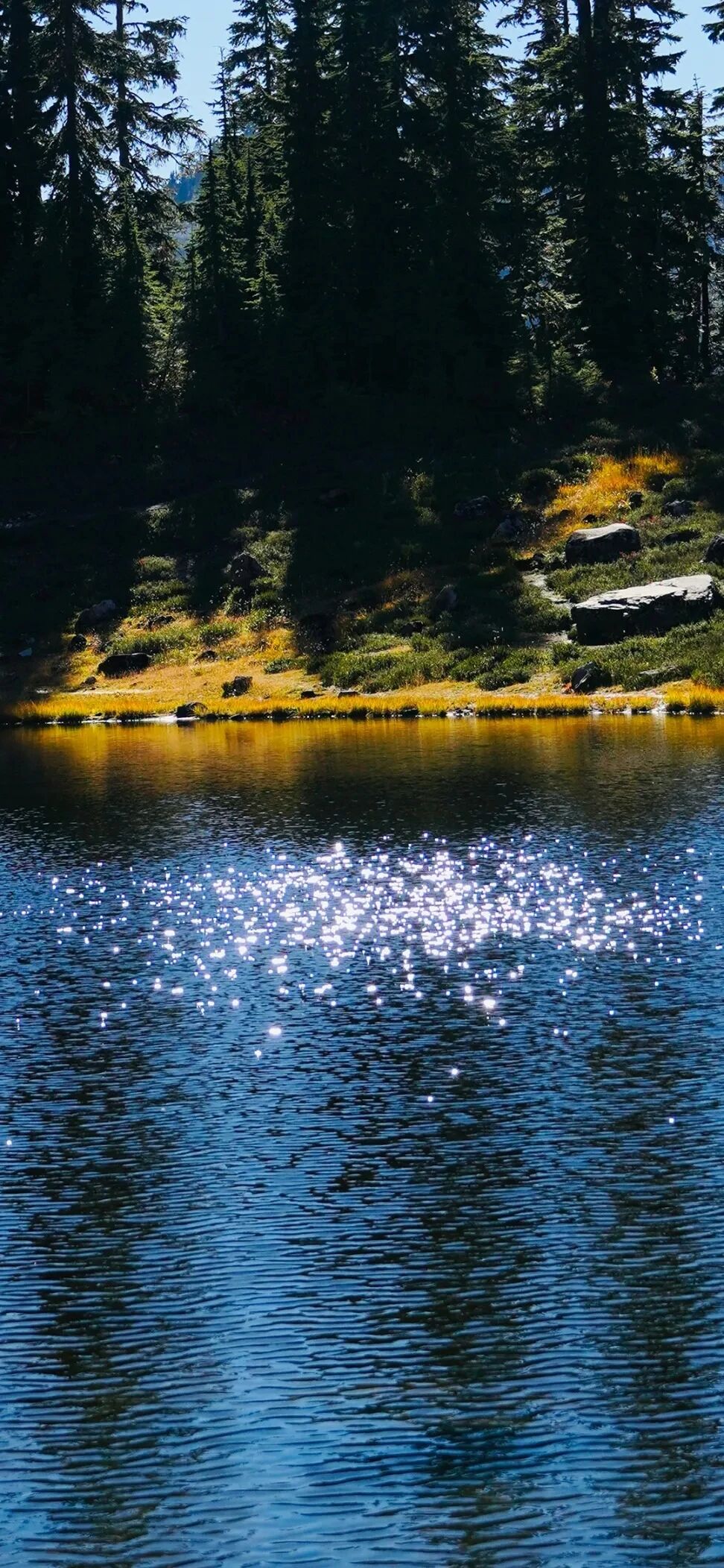 风景