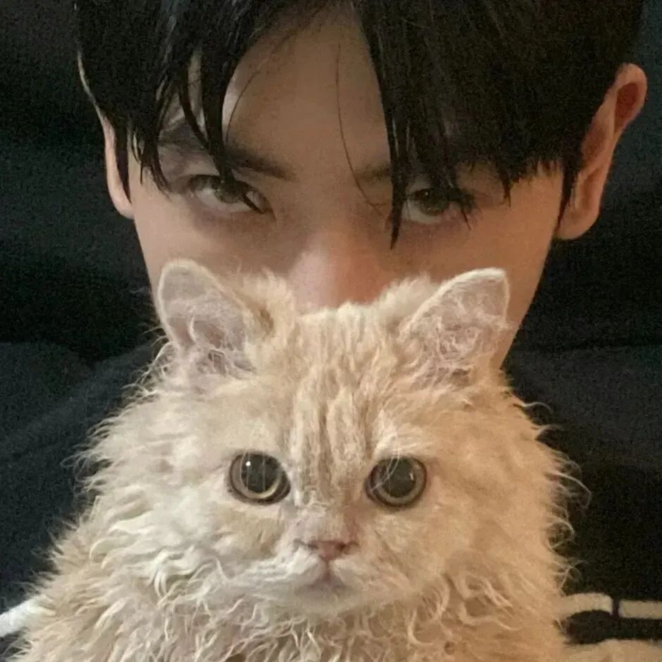 抱着猫咪冷酷男生头像