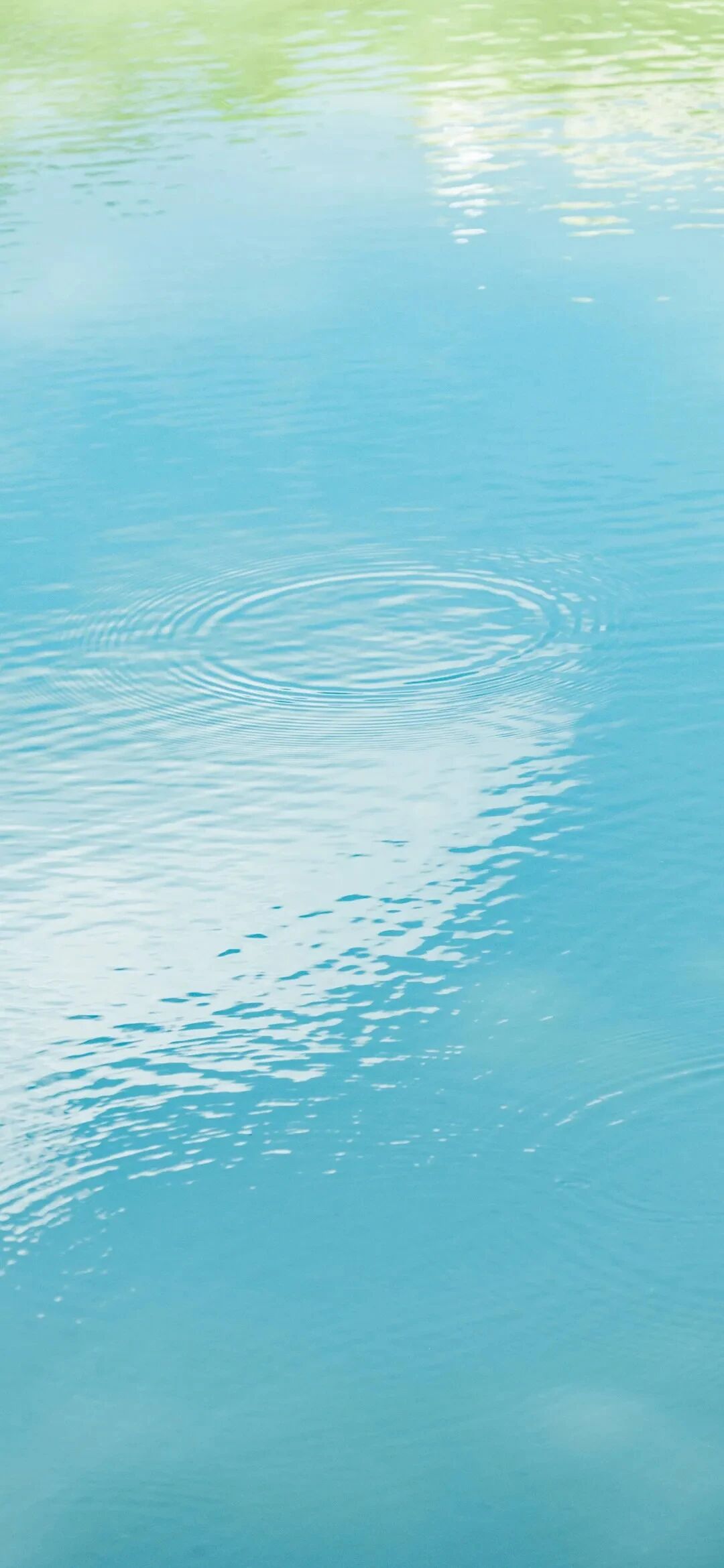 风景