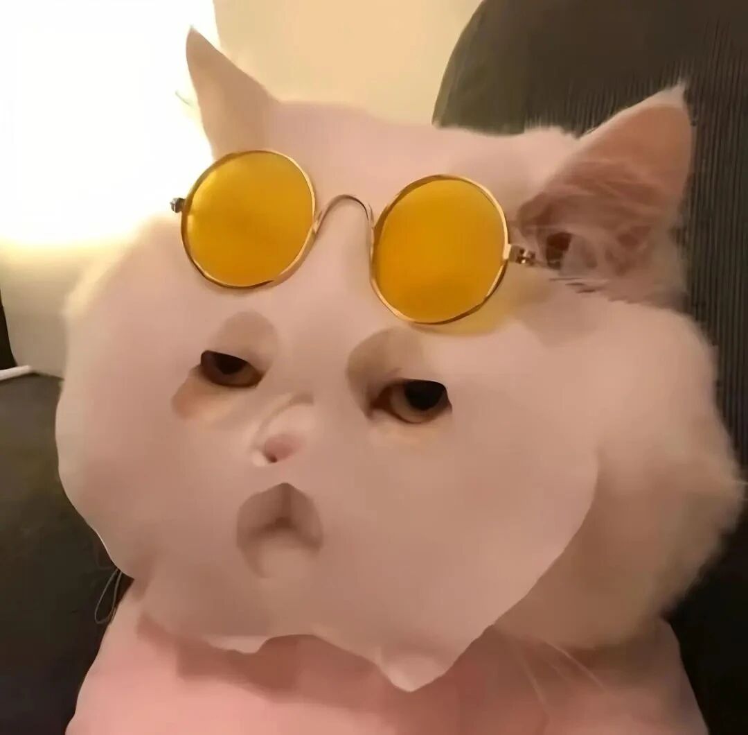 面膜猫咪萌宠头像
