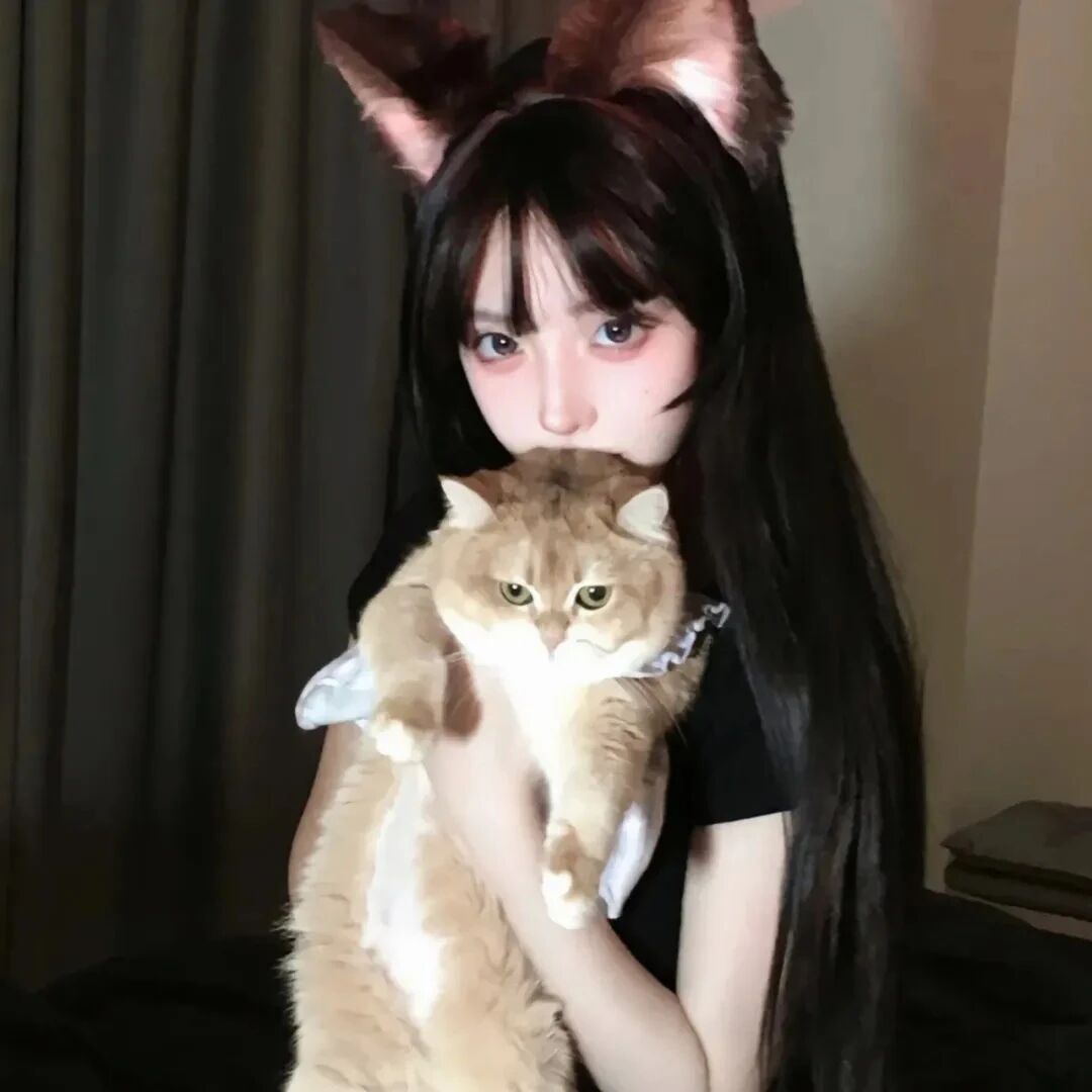 抱着猫咪少萝女生头像