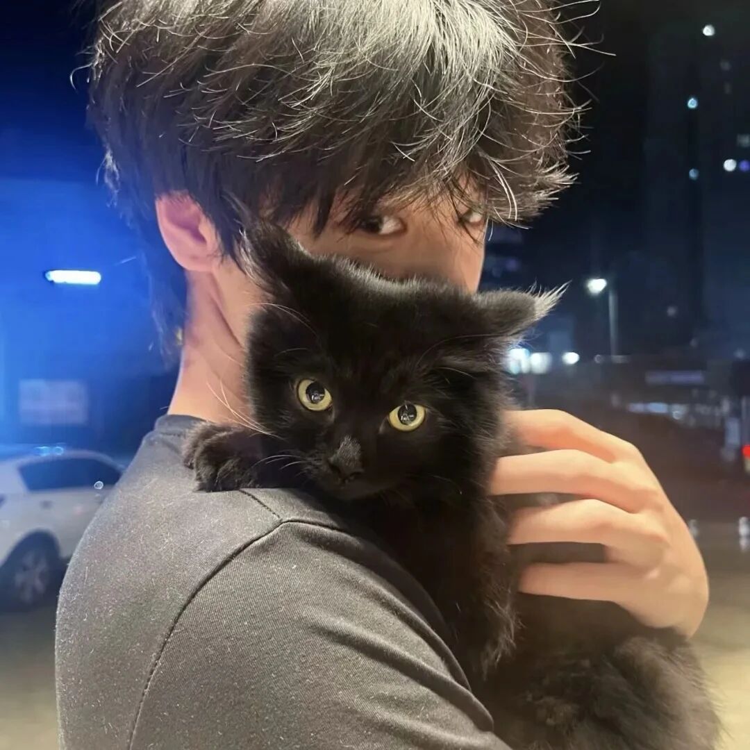 抱着猫咪帅气男生头像